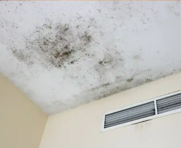 What a Broward Bathroom Looks Like Two Years After the Wrong Ventilation Spec