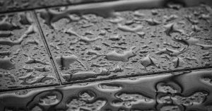 Best Flooring for Humid Climate in South Florida: What Actually Holds Up - NVN Construction